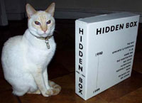Hidden Box
